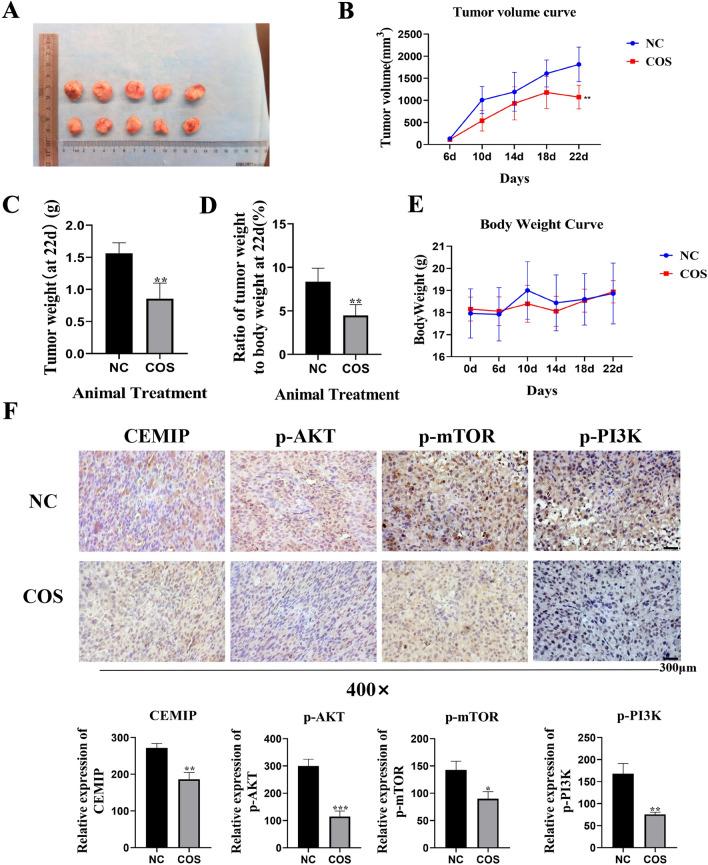 https://cdn.ncbi.nlm.nih.gov/pmc/blobs/b20b/10480286/8d13c980a72e/12032_2023_2165_Fig8_HTML.jpg