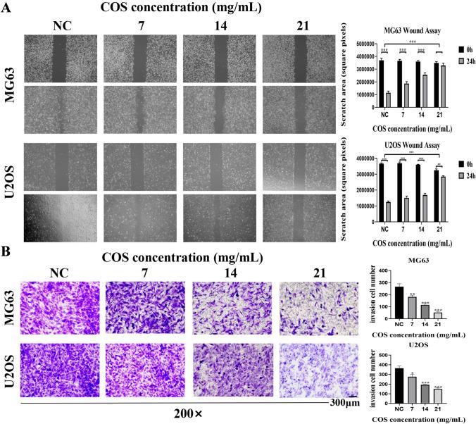 https://cdn.ncbi.nlm.nih.gov/pmc/blobs/b20b/10480286/bb76a923ee12/12032_2023_2165_Fig2_HTML.jpg