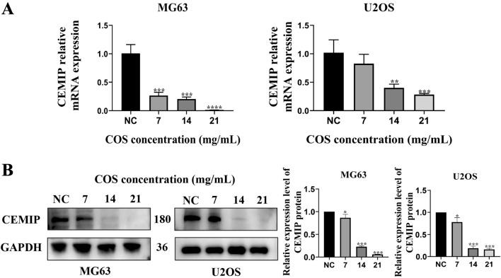 https://cdn.ncbi.nlm.nih.gov/pmc/blobs/b20b/10480286/c48803cff712/12032_2023_2165_Fig3_HTML.jpg