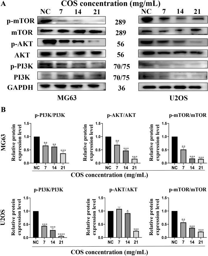 https://cdn.ncbi.nlm.nih.gov/pmc/blobs/b20b/10480286/f70810e5df67/12032_2023_2165_Fig7_HTML.jpg