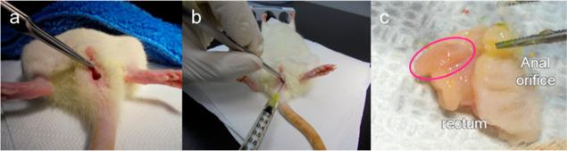https://cdn.ncbi.nlm.nih.gov/pmc/blobs/b20c/11525505/63eeee58a460/ao4c06043_0003.jpg
