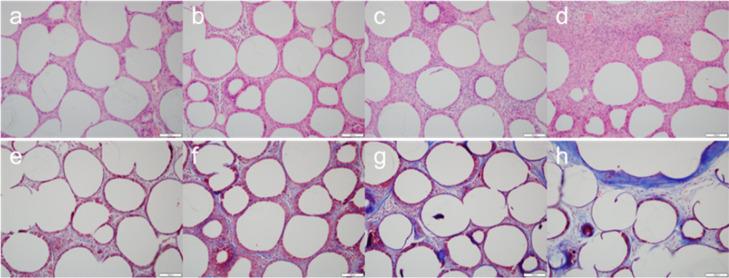 https://cdn.ncbi.nlm.nih.gov/pmc/blobs/b20c/11525505/78e9d67945cd/ao4c06043_0005.jpg