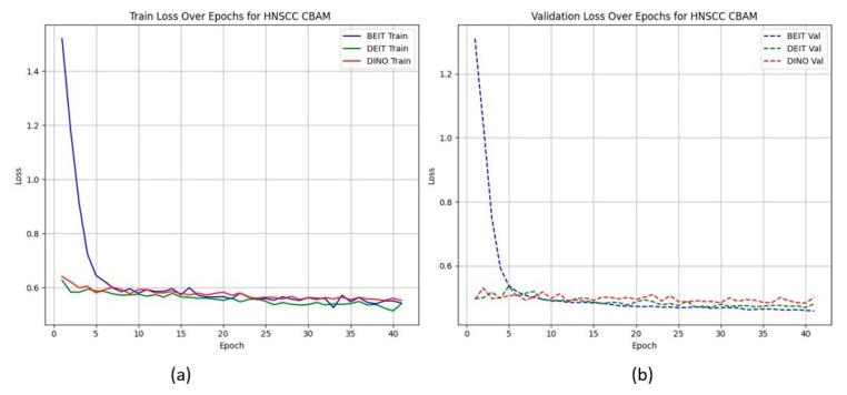 https://cdn.ncbi.nlm.nih.gov/pmc/blobs/b20d/12248538/1309659698c8/cancers-17-02115-g002.jpg
