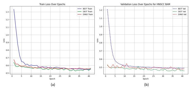 https://cdn.ncbi.nlm.nih.gov/pmc/blobs/b20d/12248538/51d126936c0c/cancers-17-02115-g003.jpg