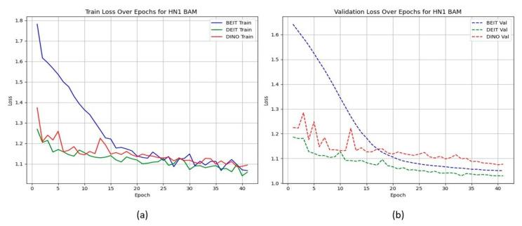 https://cdn.ncbi.nlm.nih.gov/pmc/blobs/b20d/12248538/aa84bbb2094b/cancers-17-02115-g005.jpg