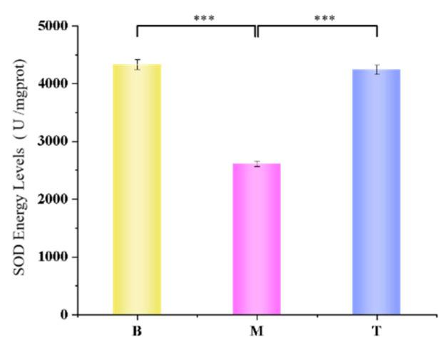 https://cdn.ncbi.nlm.nih.gov/pmc/blobs/b20d/9655468/791a33a518b4/polymers-14-04778-g010.jpg