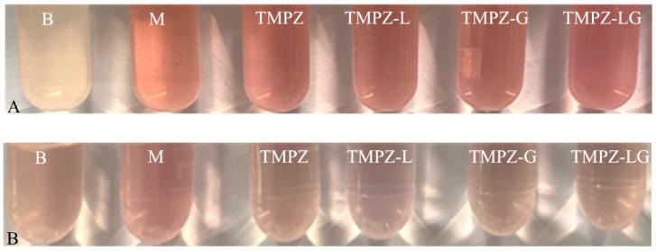 https://cdn.ncbi.nlm.nih.gov/pmc/blobs/b20d/9655468/8dafe51e3c29/polymers-14-04778-g008.jpg