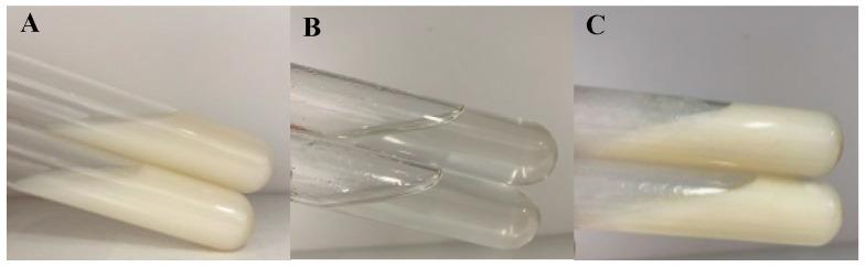 https://cdn.ncbi.nlm.nih.gov/pmc/blobs/b20d/9655468/c5e4b87e9396/polymers-14-04778-g002.jpg