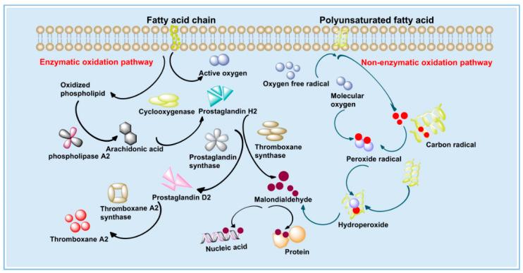 https://cdn.ncbi.nlm.nih.gov/pmc/blobs/b20d/9655468/ea0886d74434/polymers-14-04778-g007.jpg