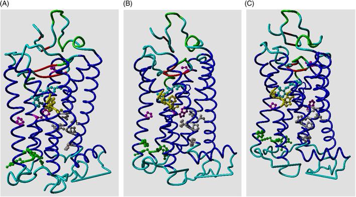 https://cdn.ncbi.nlm.nih.gov/pmc/blobs/b20e/9290982/818564bf5681/PROT-89-1577-g002.jpg