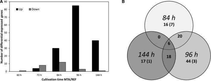 https://cdn.ncbi.nlm.nih.gov/pmc/blobs/b20f/7714083/a2aff2416f40/FEB4-10-2791-g006.jpg