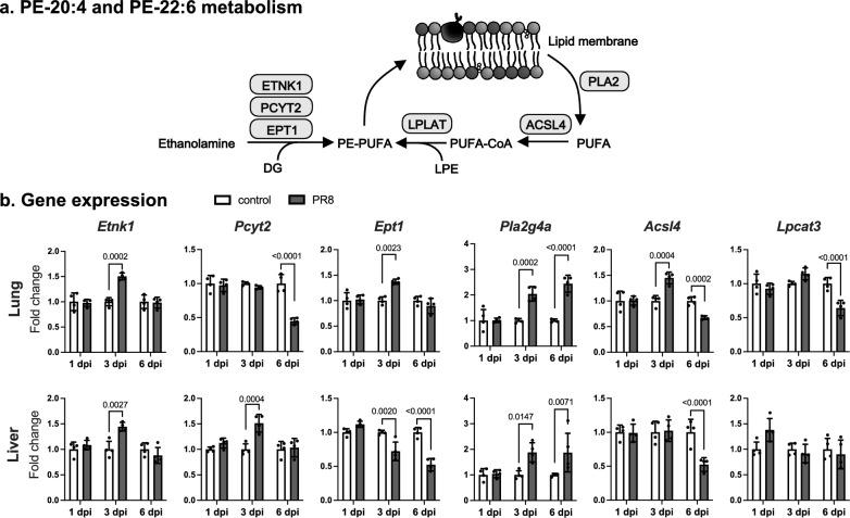 https://cdn.ncbi.nlm.nih.gov/pmc/blobs/b210/10469212/5d10f0377ed3/41598_2023_41055_Fig6_HTML.jpg