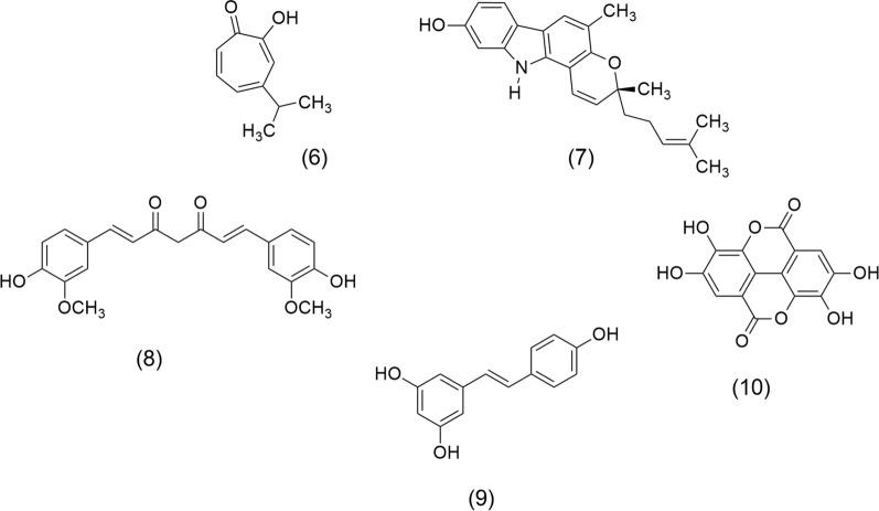 https://cdn.ncbi.nlm.nih.gov/pmc/blobs/b211/12011705/b593b8fd6dcc/13659_2025_511_Fig2_HTML.jpg