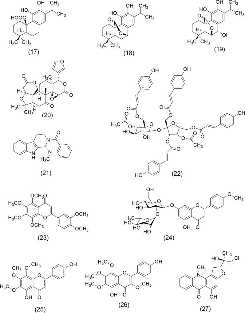 https://cdn.ncbi.nlm.nih.gov/pmc/blobs/b211/12011705/e87a511fe540/13659_2025_511_Fig4_HTML.jpg