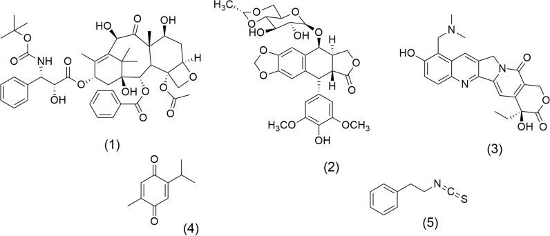 https://cdn.ncbi.nlm.nih.gov/pmc/blobs/b211/12011705/f29d6114594b/13659_2025_511_Fig1_HTML.jpg