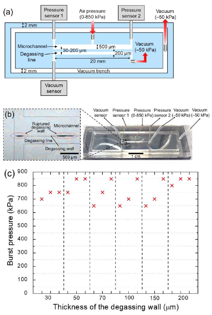 https://cdn.ncbi.nlm.nih.gov/pmc/blobs/b212/8146472/5f4e4eb15154/membranes-11-00316-g004.jpg