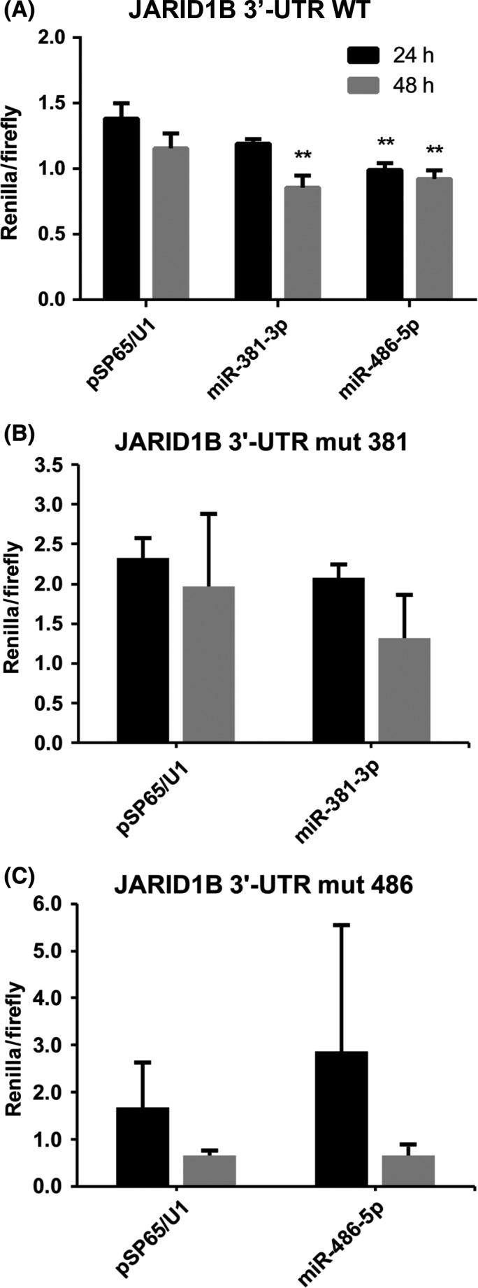 https://cdn.ncbi.nlm.nih.gov/pmc/blobs/b215/6447846/75e5b9b478d7/CAS-110-1232-g002.jpg