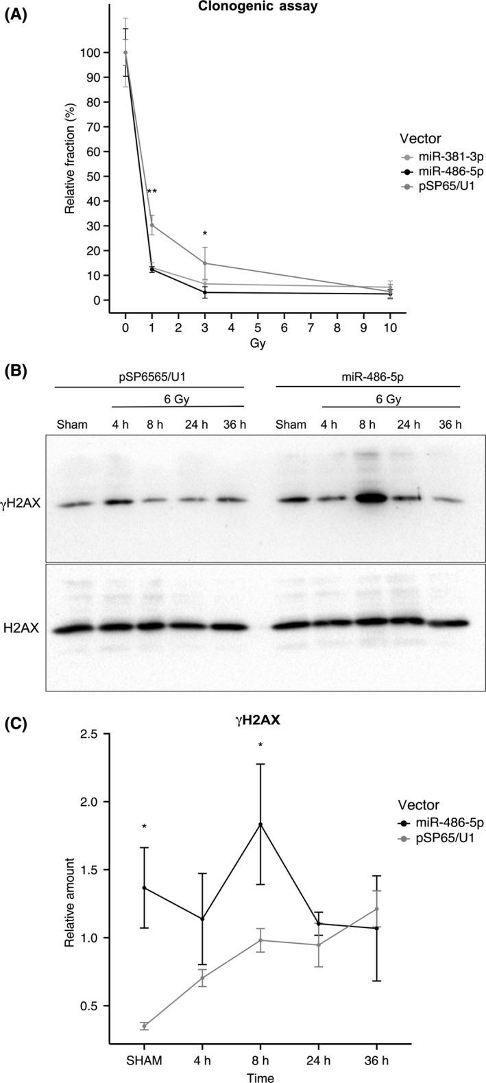 https://cdn.ncbi.nlm.nih.gov/pmc/blobs/b215/6447846/d15b7a457c06/CAS-110-1232-g004.jpg