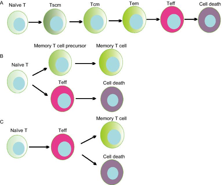 https://cdn.ncbi.nlm.nih.gov/pmc/blobs/b215/7381543/91143ef4c7ca/13238_2020_707_Fig1_HTML.jpg