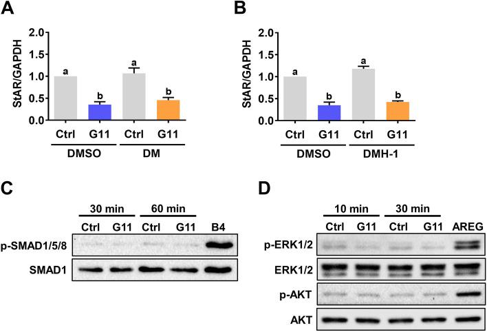https://cdn.ncbi.nlm.nih.gov/pmc/blobs/b216/8857810/13e58a81f40b/12958_2022_912_Fig5_HTML.jpg