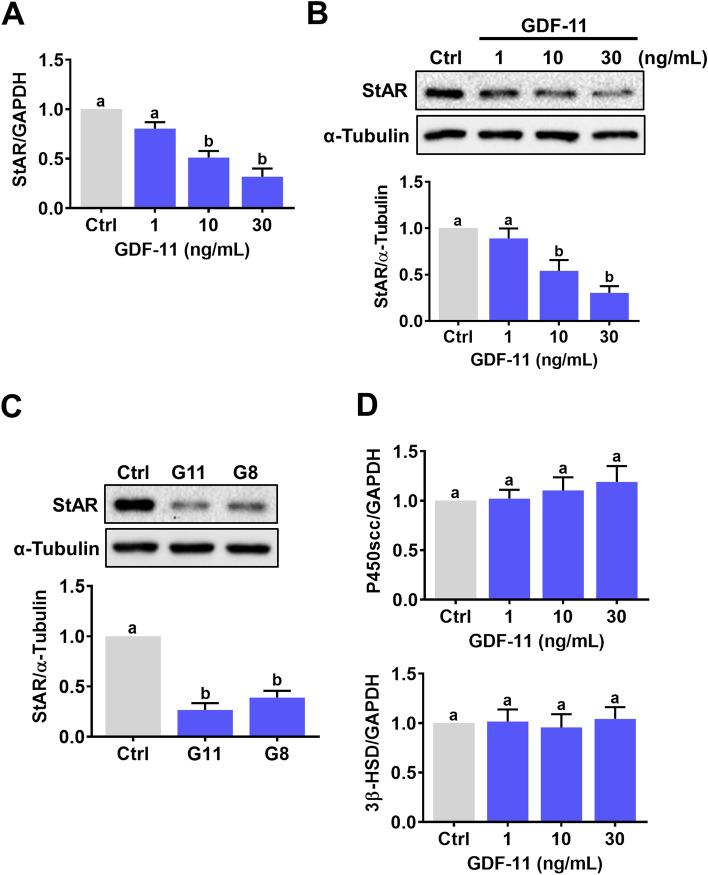 https://cdn.ncbi.nlm.nih.gov/pmc/blobs/b216/8857810/813fa944895b/12958_2022_912_Fig1_HTML.jpg