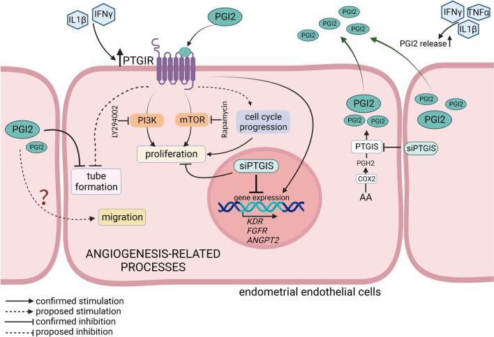 https://cdn.ncbi.nlm.nih.gov/pmc/blobs/b218/10465533/1c3e328b6639/41598_2023_41197_Fig8_HTML.jpg
