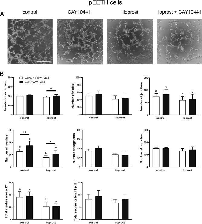 https://cdn.ncbi.nlm.nih.gov/pmc/blobs/b218/10465533/ac887aa24bda/41598_2023_41197_Fig6_HTML.jpg