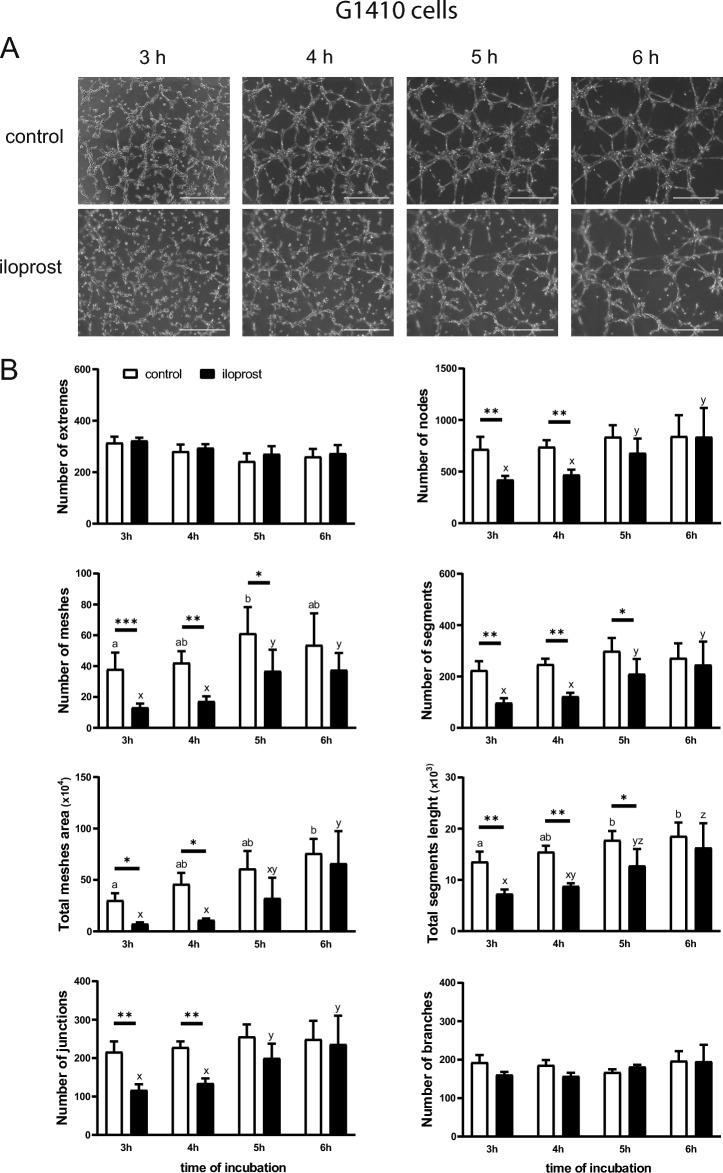 https://cdn.ncbi.nlm.nih.gov/pmc/blobs/b218/10465533/b90b4fb587cd/41598_2023_41197_Fig7_HTML.jpg