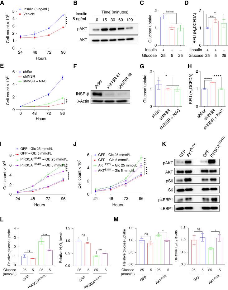 https://cdn.ncbi.nlm.nih.gov/pmc/blobs/b218/12141995/6107499fbf3f/crc-23-0506_f7.jpg