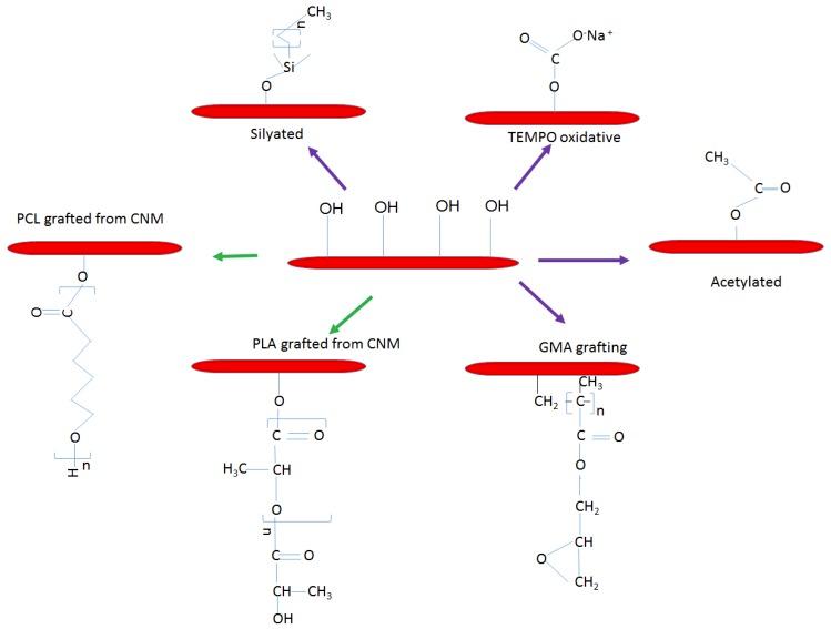 https://cdn.ncbi.nlm.nih.gov/pmc/blobs/b219/6401737/fae1520ffabe/polymers-10-01363-g002.jpg