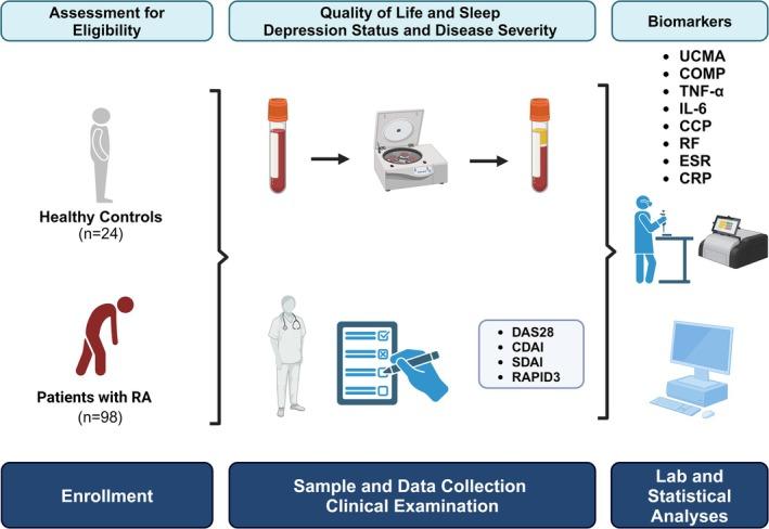 https://cdn.ncbi.nlm.nih.gov/pmc/blobs/b21c/12179802/a94987a7c10d/JCLA-39-e70057-g003.jpg