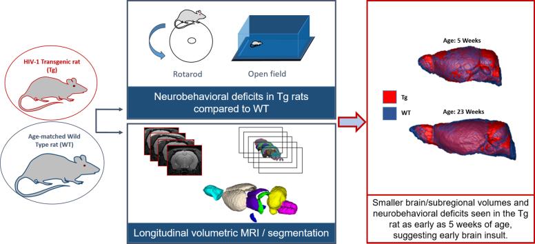 https://cdn.ncbi.nlm.nih.gov/pmc/blobs/b21c/5705794/1e8470bb368b/fx1.jpg