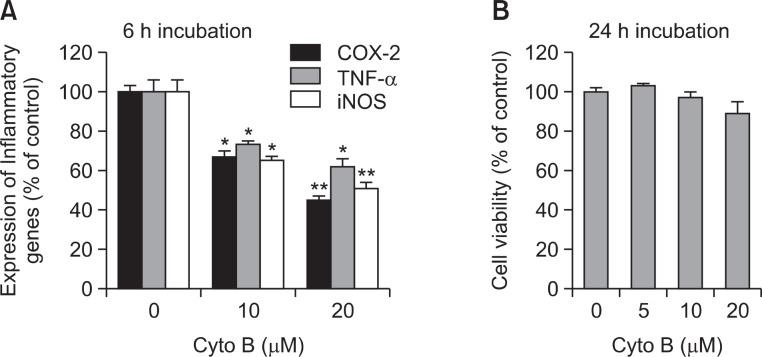 https://cdn.ncbi.nlm.nih.gov/pmc/blobs/b21e/4131529/c1edb54a80fa/bt-22-295f2.jpg