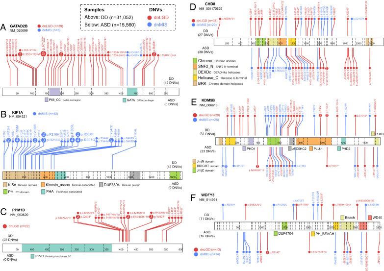 https://cdn.ncbi.nlm.nih.gov/pmc/blobs/b21f/9674258/1be982302466/pnas.2203491119fig04.jpg