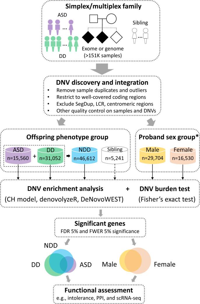 https://cdn.ncbi.nlm.nih.gov/pmc/blobs/b21f/9674258/a39be803bca4/pnas.2203491119fig01.jpg