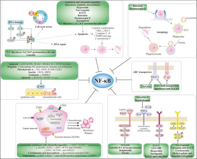 https://cdn.ncbi.nlm.nih.gov/pmc/blobs/b220/11016017/8d059272ec55/10555_2023_10134_Fig3_HTML.jpg