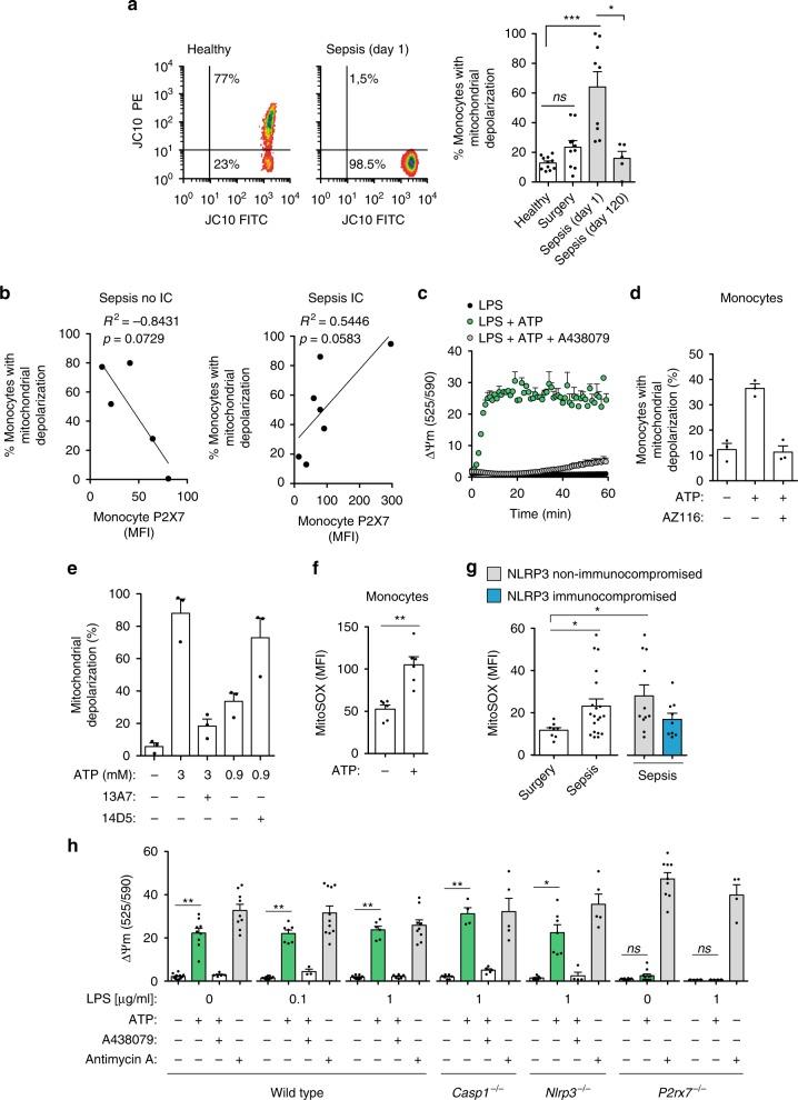 https://cdn.ncbi.nlm.nih.gov/pmc/blobs/b222/6586640/b78a2544c577/41467_2019_10626_Fig5_HTML.jpg