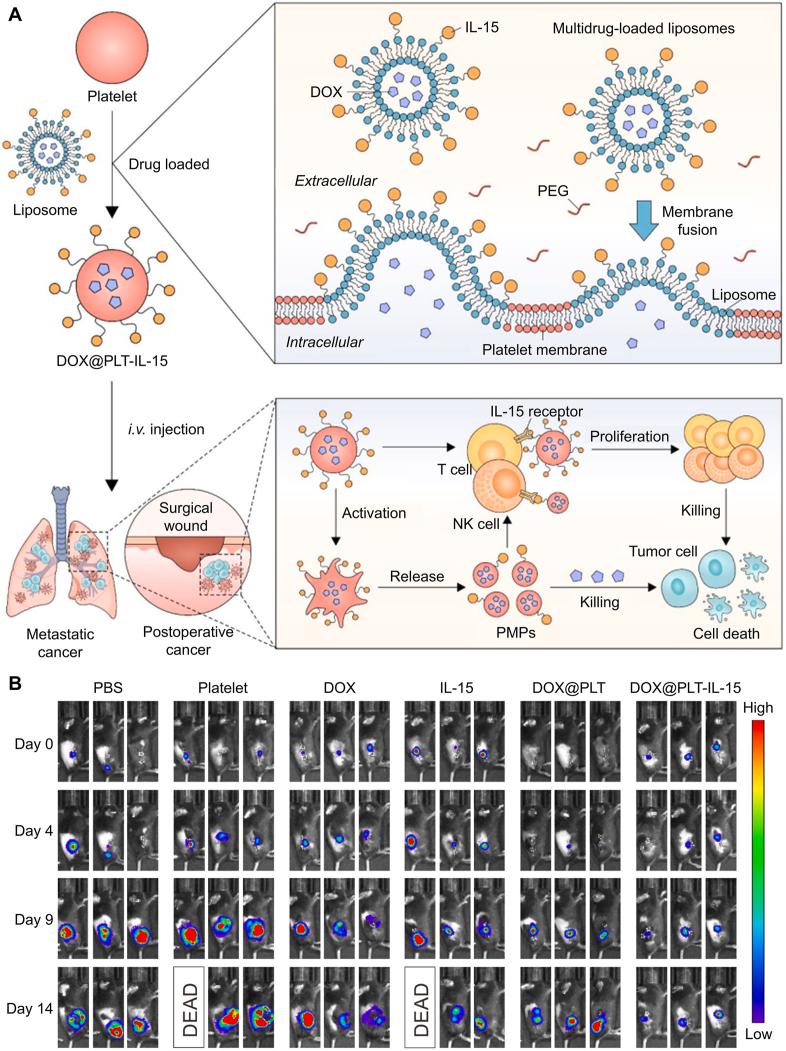https://cdn.ncbi.nlm.nih.gov/pmc/blobs/b226/11683242/e4c7df8d1b11/gr4.jpg