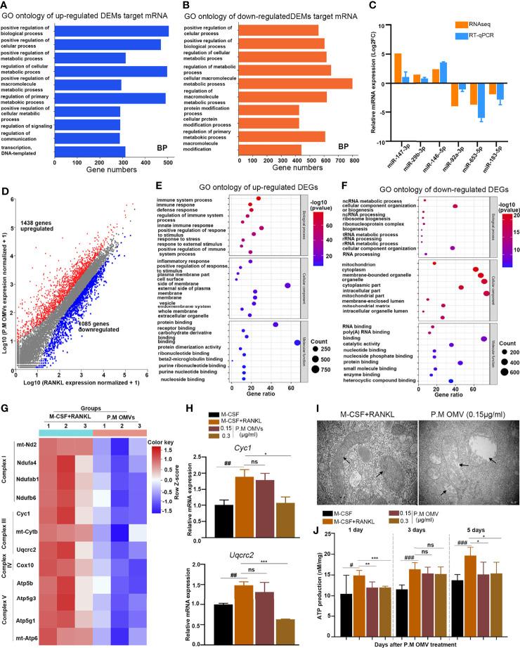 https://cdn.ncbi.nlm.nih.gov/pmc/blobs/b227/8885728/eb0e708c30db/fimmu-13-833040-g003.jpg