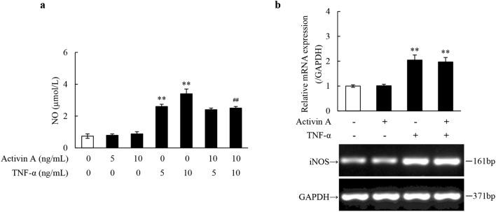 https://cdn.ncbi.nlm.nih.gov/pmc/blobs/b228/7693280/e7ad94f925fa/41598_2020_77783_Fig1_HTML.jpg