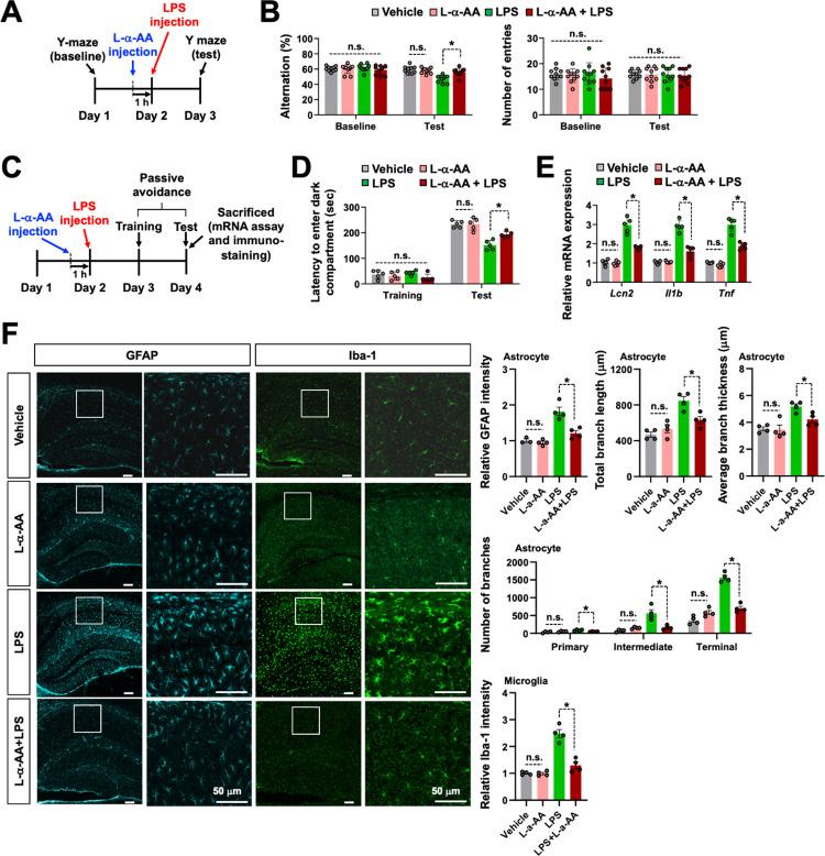 https://cdn.ncbi.nlm.nih.gov/pmc/blobs/b229/11239238/0b37637db12c/pbio.3002687.g008.jpg
