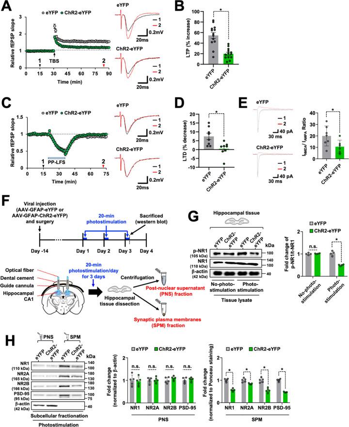 https://cdn.ncbi.nlm.nih.gov/pmc/blobs/b229/11239238/25ca2cb1306b/pbio.3002687.g002.jpg