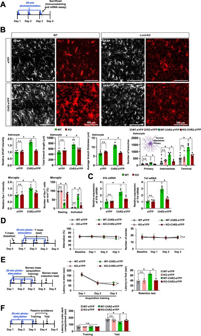 https://cdn.ncbi.nlm.nih.gov/pmc/blobs/b229/11239238/84e0e60cc923/pbio.3002687.g006.jpg