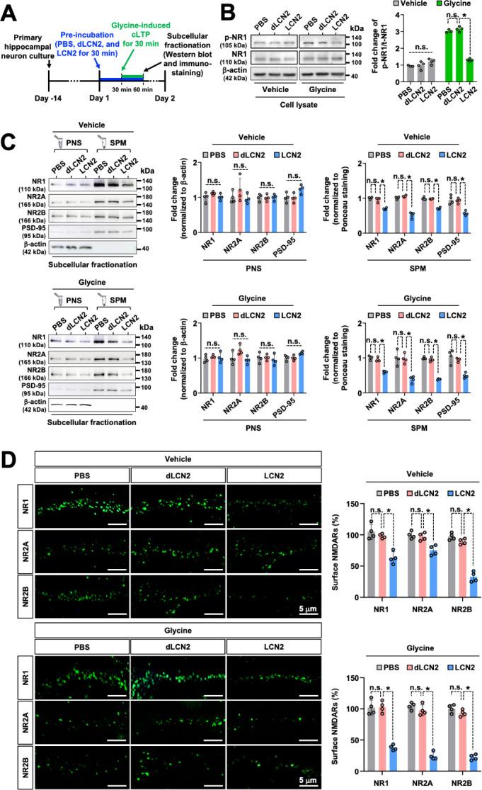 https://cdn.ncbi.nlm.nih.gov/pmc/blobs/b229/11239238/b7c2ae436738/pbio.3002687.g004.jpg