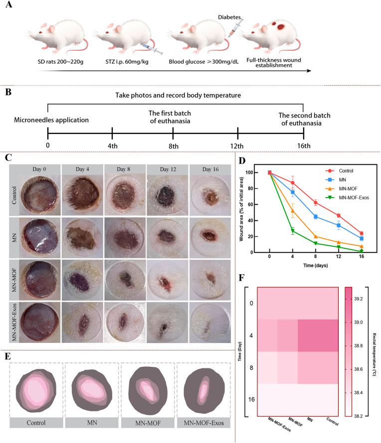 https://cdn.ncbi.nlm.nih.gov/pmc/blobs/b229/12284567/1eb28d7a662f/gr12.jpg