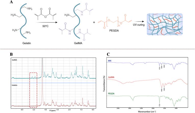 https://cdn.ncbi.nlm.nih.gov/pmc/blobs/b229/12284567/4c90c58bfb94/gr4.jpg