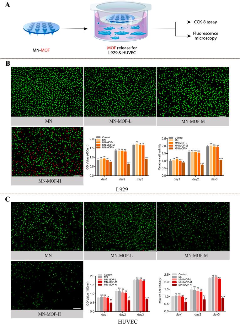 https://cdn.ncbi.nlm.nih.gov/pmc/blobs/b229/12284567/d7dc84f5d095/gr8.jpg