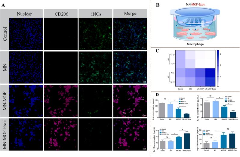 https://cdn.ncbi.nlm.nih.gov/pmc/blobs/b229/12284567/e69a6e1be6f5/gr11.jpg