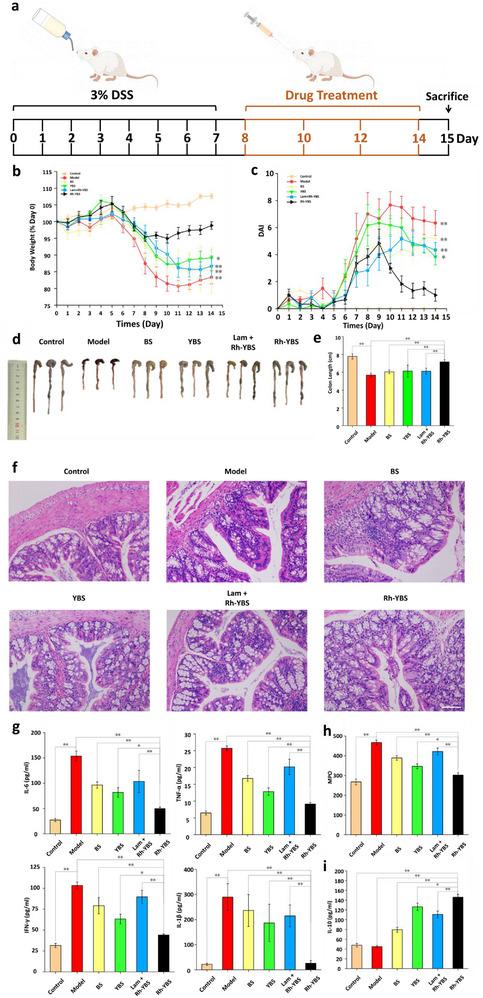 https://cdn.ncbi.nlm.nih.gov/pmc/blobs/b229/12376669/3e1905f7a18e/ADVS-12-2409711-g008.jpg