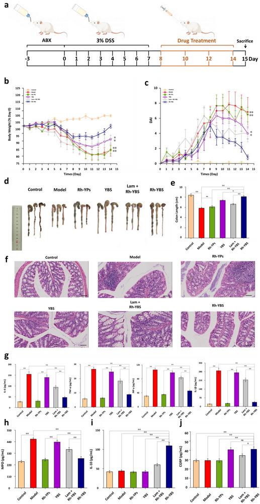 https://cdn.ncbi.nlm.nih.gov/pmc/blobs/b229/12376669/5ac5db14fa78/ADVS-12-2409711-g004.jpg